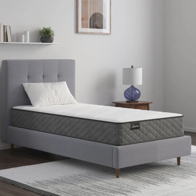 Encore® Somerset Promo Foam Firm Twin Mattress