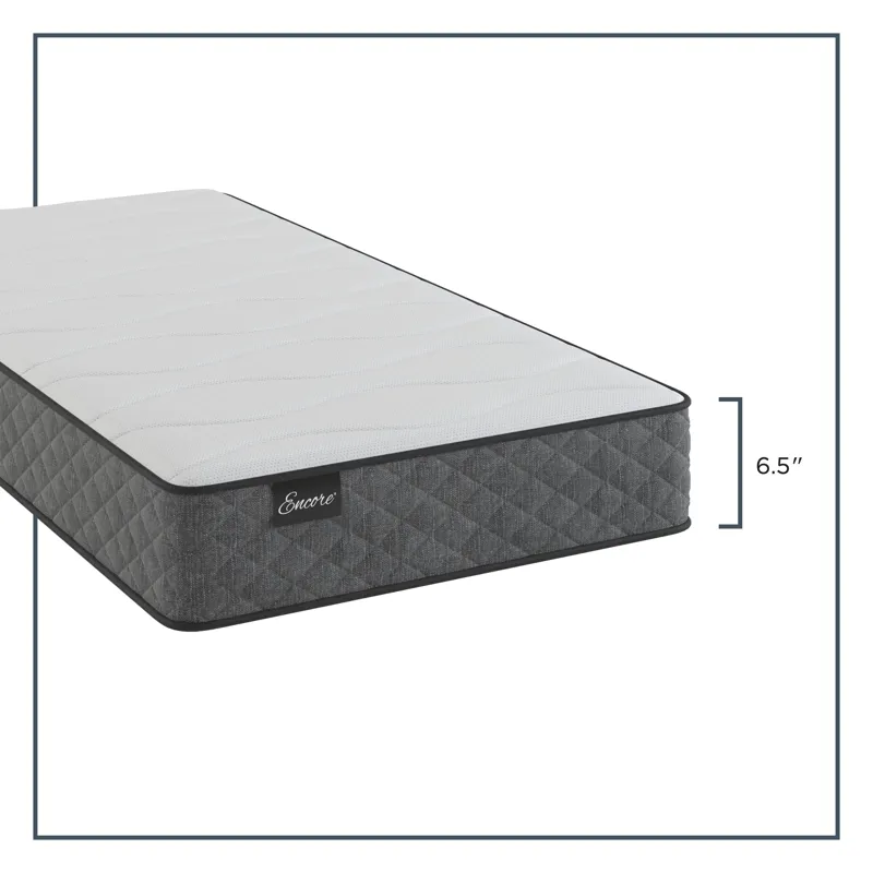 Encore® Somerset Promo Foam Firm Twin Mattress