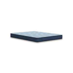 Dellyn Bonnell Twin Mattress
