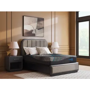 Millennium 2.0 Hybrid 12 Inch Queen Mattress