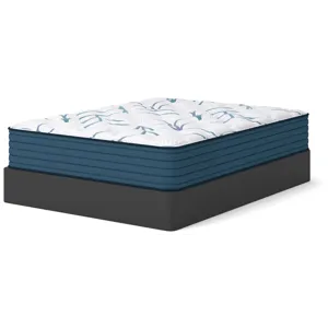 Limited Edition Plush 3.0 Mattress