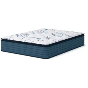 Limited Edition Plush PT 3.0 Mattress