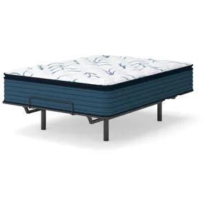 Limited Edition Plush PT 3.0 Mattress
