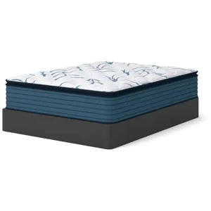 Limited Edition Plush PT 3.0 Mattress