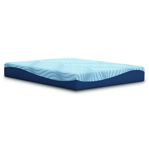 Dellyn 10 Memory Foam Queen Mattress
