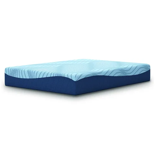 Dellyn 12 Memory Foam Queen Mattress