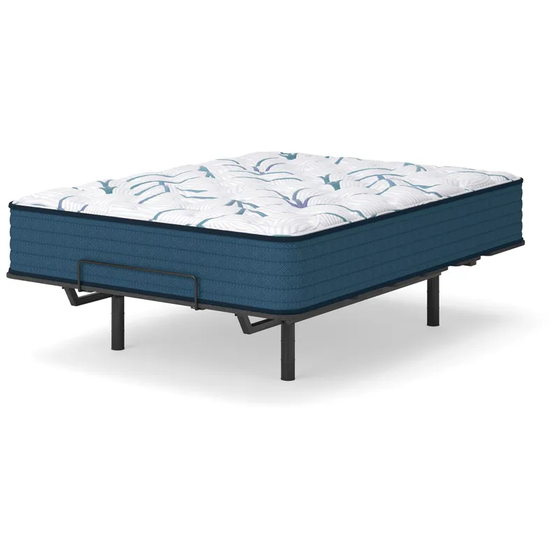 Limited Edition Plush 3.0 Mattress