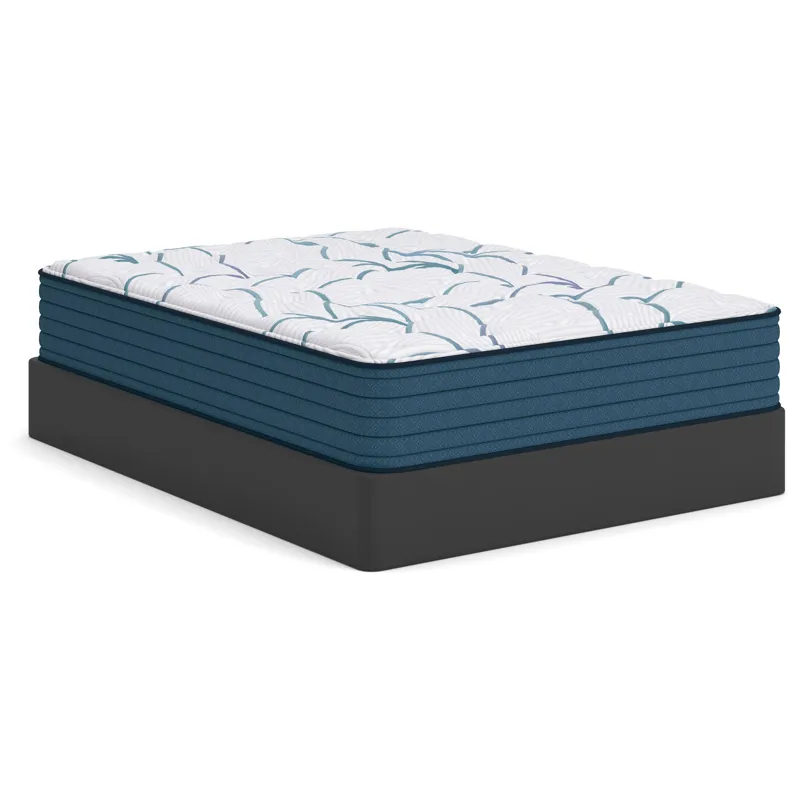 Limited Edition Plush 3.0 Mattress
