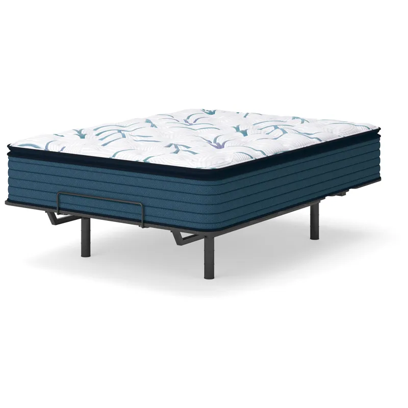 Limited Edition Plush PT 3.0 Mattress