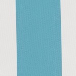 Aqua/White