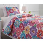 Alexei 2-Piece Twin Quilt Set