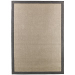 Delta City 5' x 7' Rug