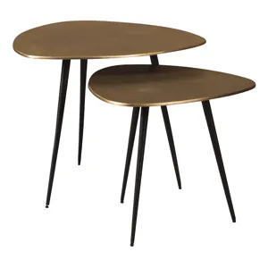 Shemleigh Accent Table (Set of 2)