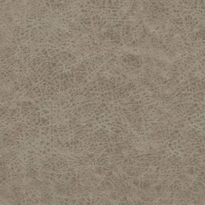 Birch
