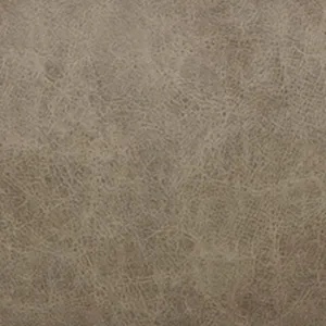 Birch