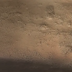 Champagne Gold Finish