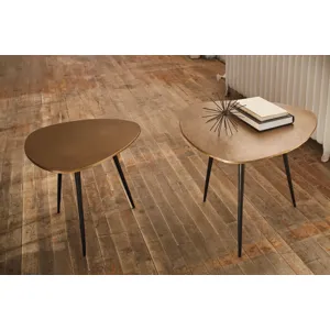 Shemleigh Accent Table (Set of 2)