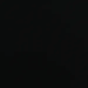 Black/Natural