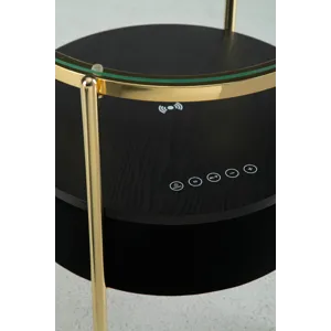 Nedman Accent Table with Speaker