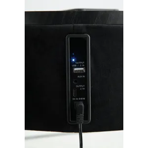 Nedman Accent Table with Speaker