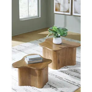 Abeford Accent Coffee Table (Set of 2)