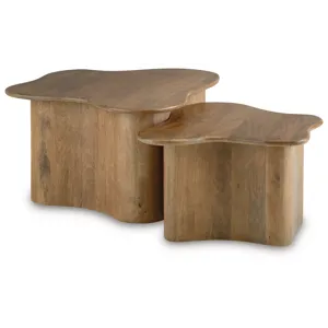 Abeford Accent Coffee Table (Set of 2)