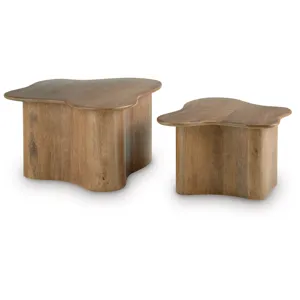 Abeford Accent Coffee Table (Set of 2)