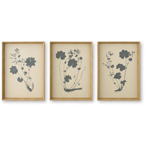 Huddwick Wall Art (Set of 3)
