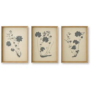 Huddwick Wall Art (Set of 3)