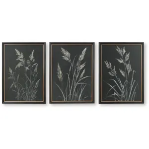 Janisburg Wall Art (Set of 3)