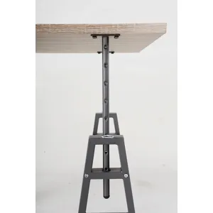 Irene Adjustable Height Desk