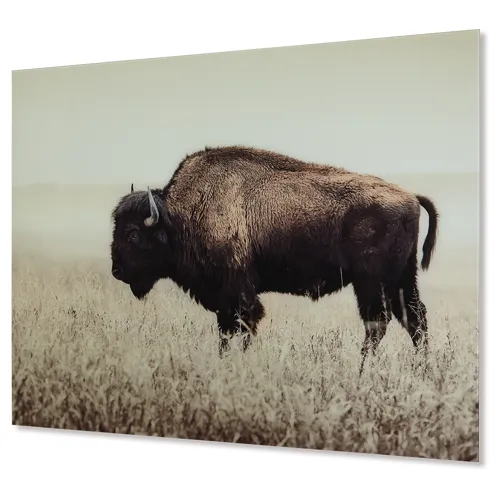 Brutus Wall Art