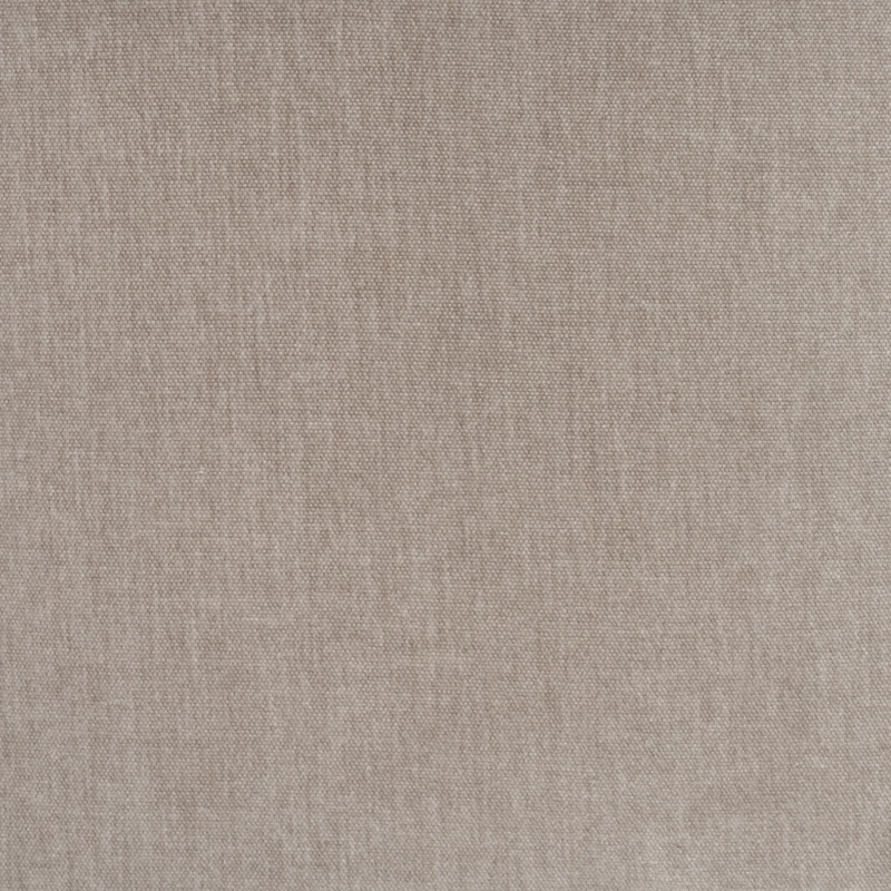 Warm Gray