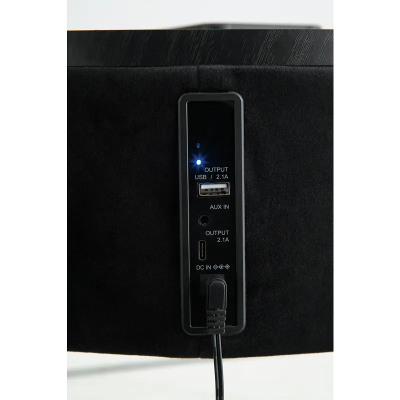 Nedman Accent Table with Speaker