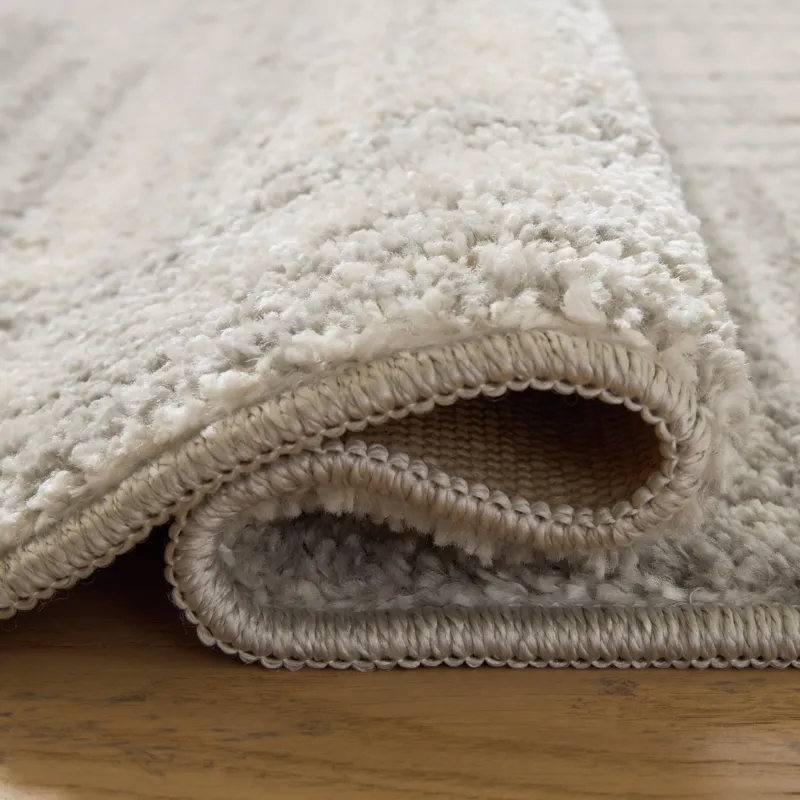 Dorwick Washable Medium Rug