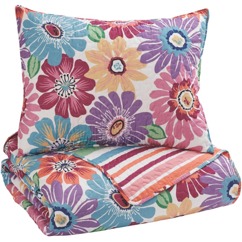 Alexei 2-Piece Twin Quilt Set