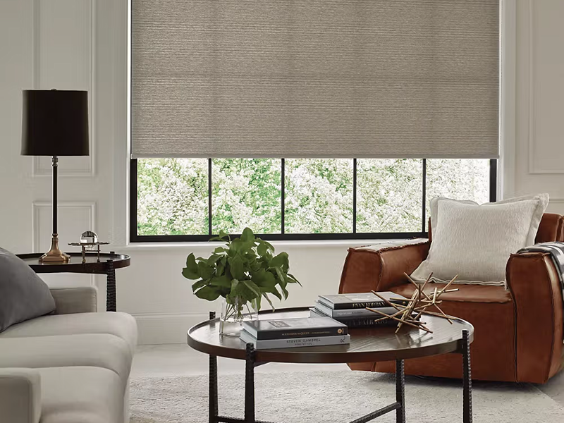 Designer Roller Shades