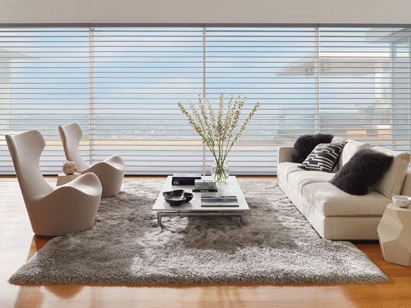 Silhouette Window Shadings