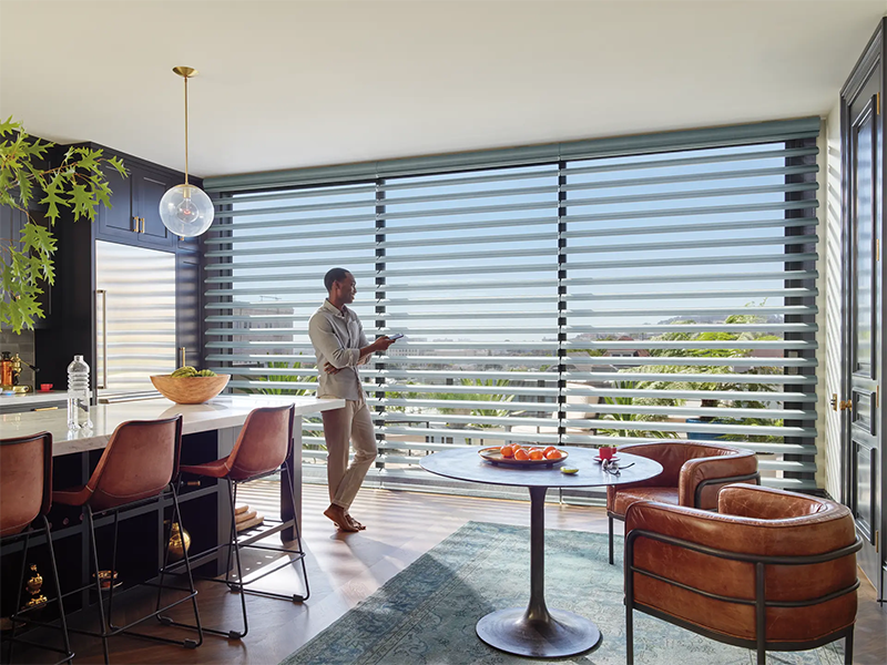 Pirouette Window Shadings