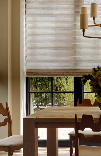 Window with blinds