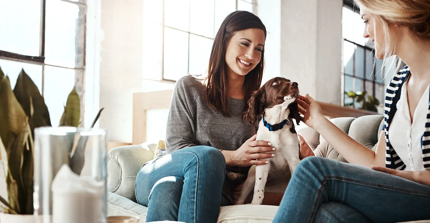 Firends and dog on a sofa