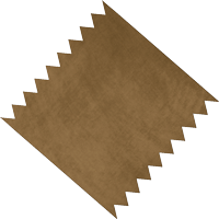 brown swatch