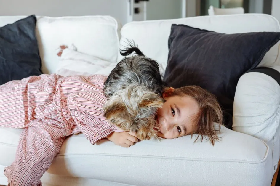 The Best Performance Fabrics for Kids, Pets 