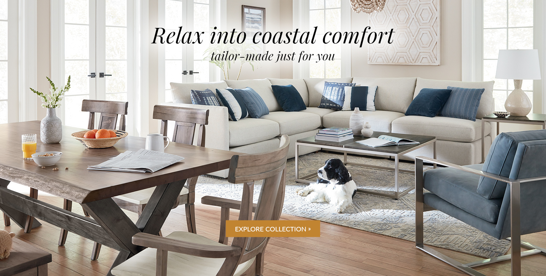 FWDG-9100-V5-Website-Rotator