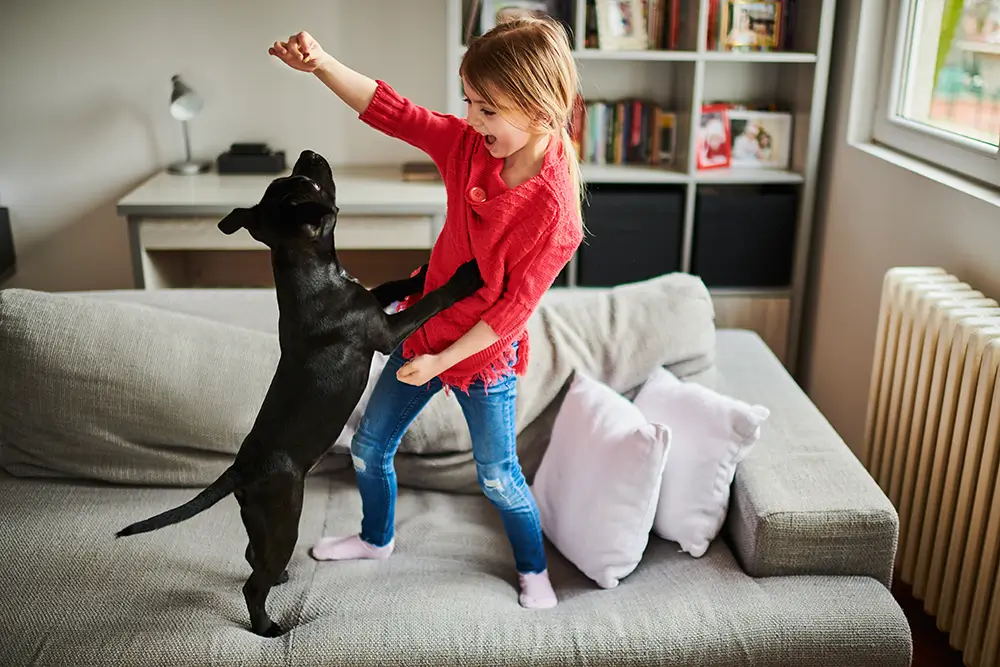Girl playing with dog on sofa