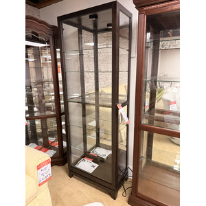 Modern Wood Narrow Curio Cabinet with Light