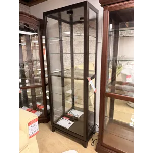 Modern Wood Narrow Curio Cabinet with Light
