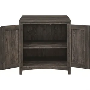 2 Door Cabinet