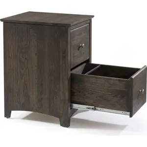 2 Drawer File