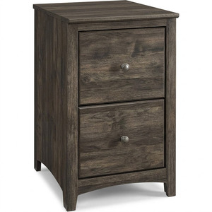 2 Drawer File
